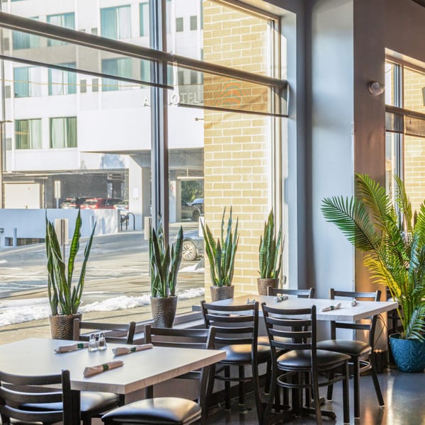 Restaurant interior with dining tables, black chairs, potted plants, and large windows with street view.